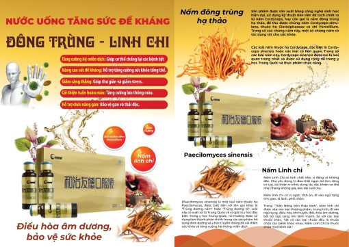 sản phẩm đông trùng, linh chi fohoway