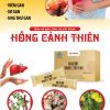 Hỗ trợ gan hồng cảnh thiên, sắn dây dạng bột 5g_túi 12 túi_hộp 1.248 000đ