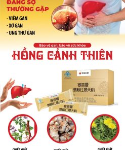 Hỗ trợ gan hồng cảnh thiên, sắn dây dạng bột 5g_túi 12 túi_hộp 1.248 000đ