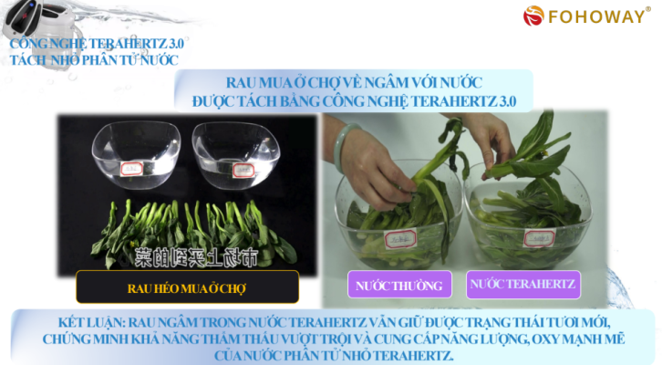 Ví dụ sử dụng nước terahertz