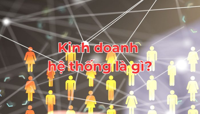 kinh doanh hệ thống là gì