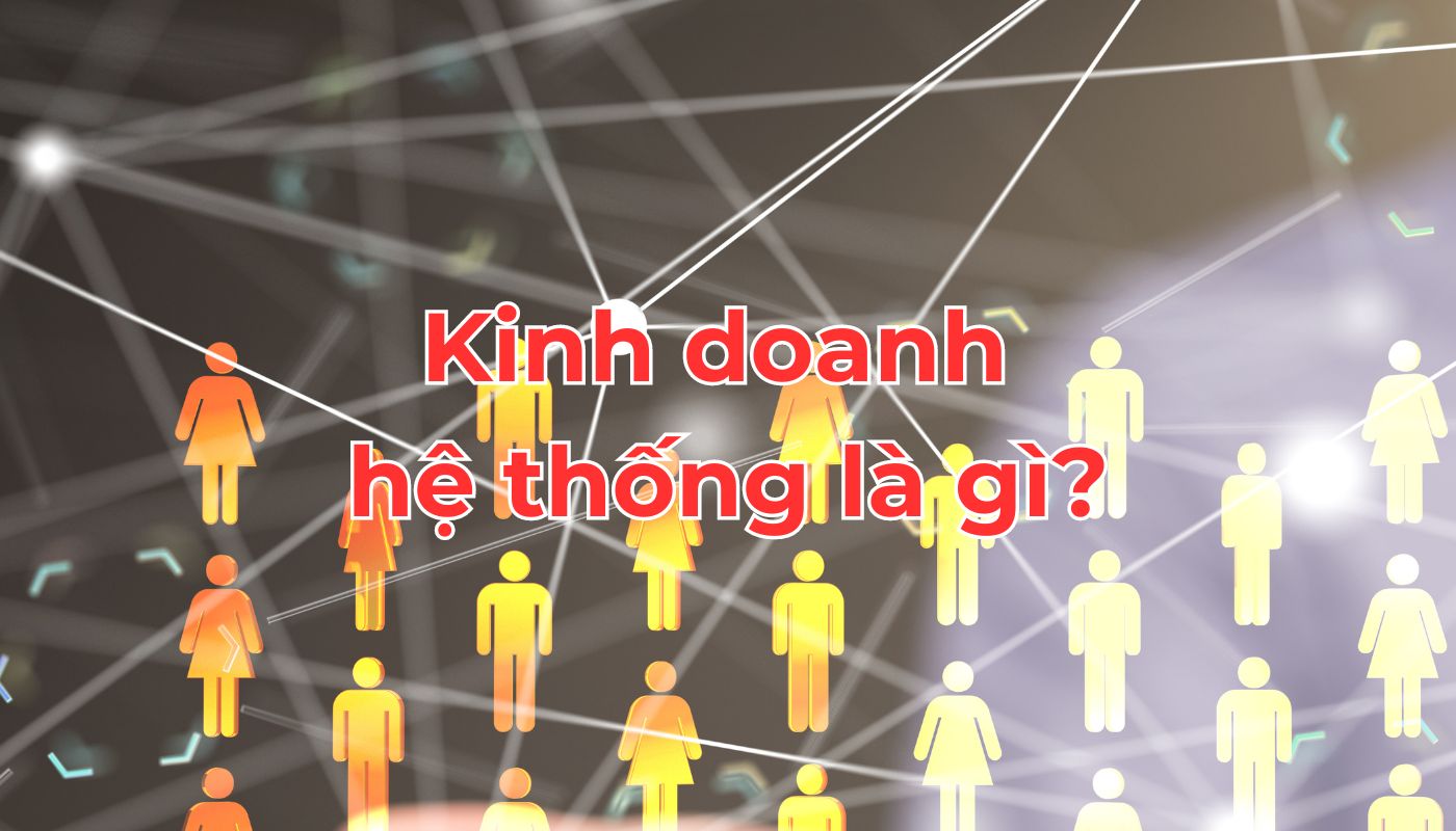 kinh doanh hệ thống là gì